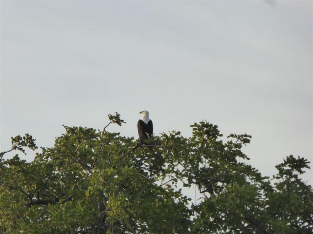 ../photos/Botswana/Jane/P1030491.jpg?t=1775440283