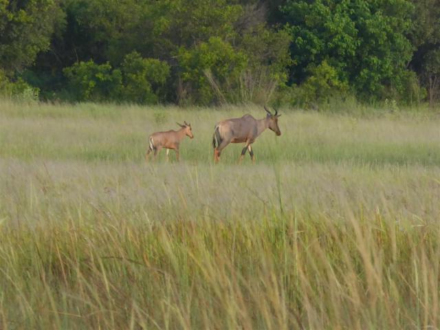 ../photos/Botswana/Jane/P1030494.jpg?t=1775440283