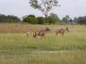 ../photos/Botswana/Jane/P1030499_1.jpg?t=1775440283