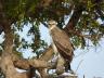 ../photos/Botswana/Jane/P1030504_1.jpg?t=1775440283