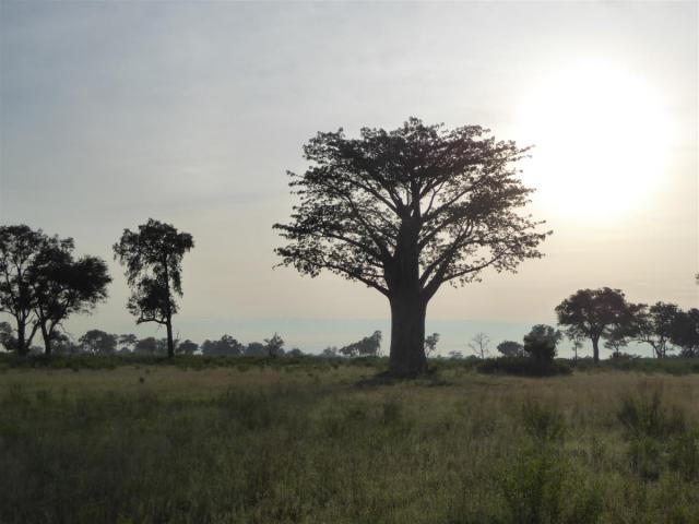 ../photos/Botswana/Jane/P1030505.jpg?t=1775440283