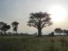 ../photos/Botswana/Jane/P1030505_1.jpg?t=1775440283