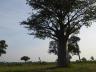 ../photos/Botswana/Jane/P1030506_1.jpg?t=1775440283