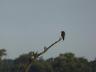 ../photos/Botswana/Jane/P1030510_1.jpg?t=1775440283
