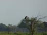 ../photos/Botswana/Jane/P1030511_1.jpg?t=1775440283
