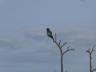 ../photos/Botswana/Jane/P1030520_1.jpg?t=1775440283