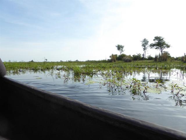 ../photos/Botswana/Jane/P1030529.jpg?t=1775440283