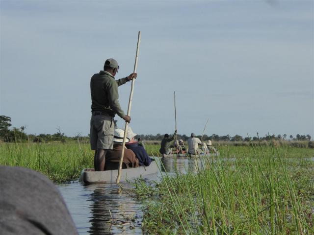 ../photos/Botswana/Jane/P1030530.jpg?t=1775440283