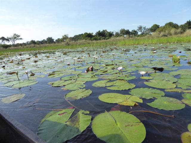 ../photos/Botswana/Jane/P1030537.jpg?t=1775440283