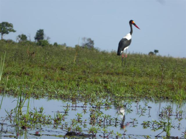 ../photos/Botswana/Jane/P1030544.jpg?t=1775440283