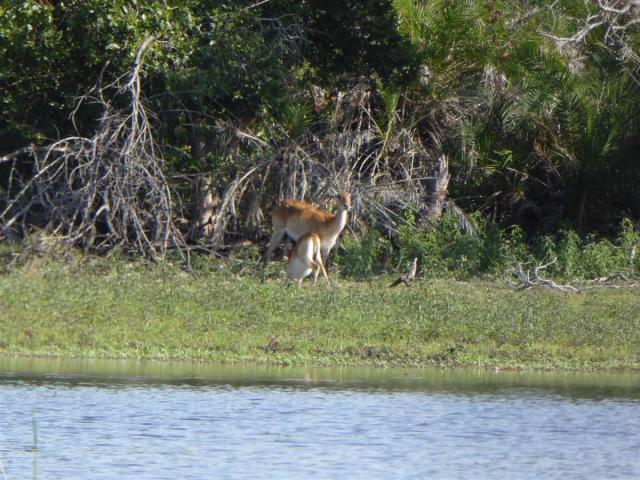 ../photos/Botswana/Jane/P1030547.jpg?t=1775440283