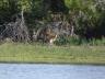 ../photos/Botswana/Jane/P1030547_1.jpg?t=1775440283