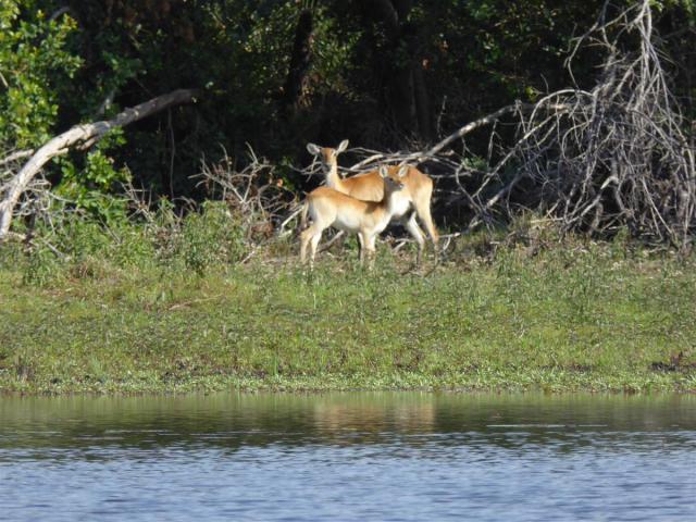 ../photos/Botswana/Jane/P1030549.jpg?t=1775440283