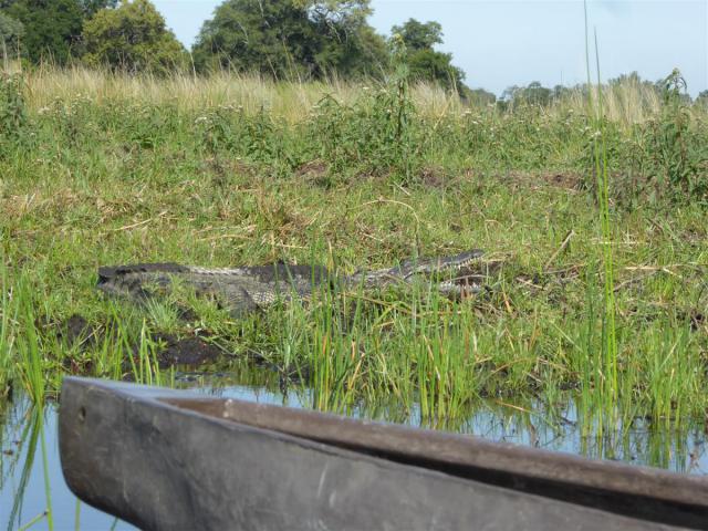../photos/Botswana/Jane/P1030558.jpg?t=1775440283