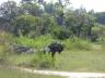 ../photos/Botswana/Jane/P1030595_1.jpg?t=1775440283