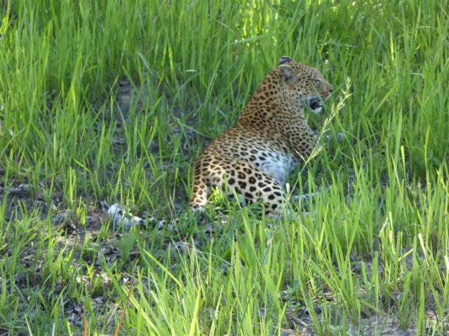 ../photos/Botswana/Jane/P1030597.jpg?t=1775440283