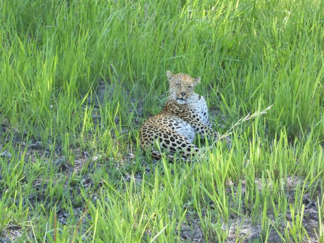 ../photos/Botswana/Jane/P1030617.jpg?t=1775440283