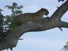 ../photos/Botswana/Jane/P1030626_1.jpg?t=1775440283