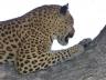 ../photos/Botswana/Jane/P1030632_1.jpg?t=1775440283