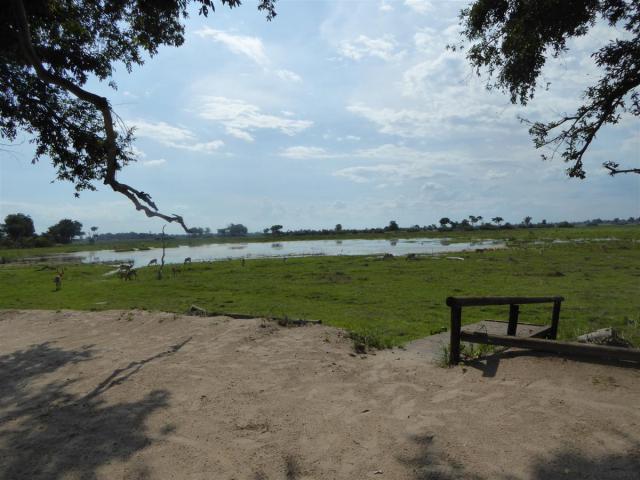 ../photos/Botswana/Jane/P1030645.jpg?t=1775440283