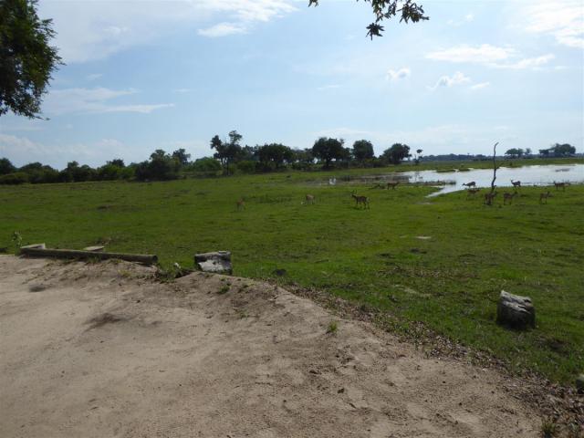 ../photos/Botswana/Jane/P1030647.jpg?t=1775440283
