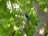 ../photos/Botswana/Jane/P1030650_1.jpg?t=1775440283