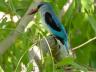 ../photos/Botswana/Jane/P1030652_1.jpg?t=1775440283