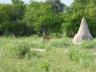../photos/Botswana/Jane/P1030659_1.jpg?t=1775440283