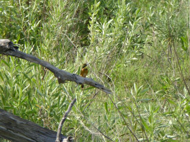../photos/Botswana/Jane/P1030665.jpg?t=1775440283