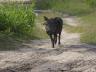 ../photos/Botswana/Jane/P1030673_1.jpg?t=1775440283
