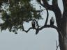 ../photos/Botswana/Jane/P1030675_1.jpg?t=1775440283