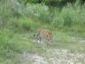 ../photos/Botswana/Jane/P1030688_1.jpg?t=1775440283