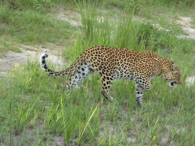 ../photos/Botswana/Jane/P1030692.jpg?t=1775440283