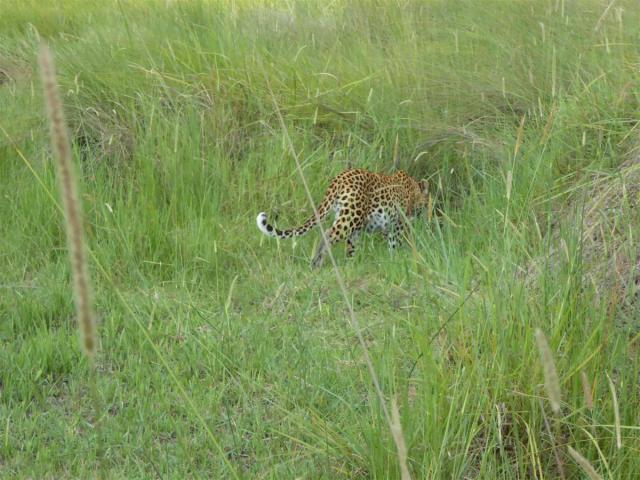 ../photos/Botswana/Jane/P1030693.jpg?t=1775440283