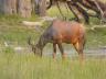 ../photos/Botswana/Jane/P1030700_1.jpg?t=1775440283