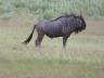 ../photos/Botswana/Jane/P1030705_1.jpg?t=1775440283