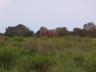 ../photos/Botswana/Jane/P1030710_1.jpg?t=1775440283