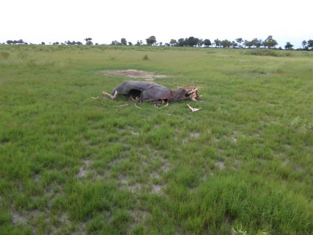../photos/Botswana/Jane/P1030712.jpg?t=1775440283