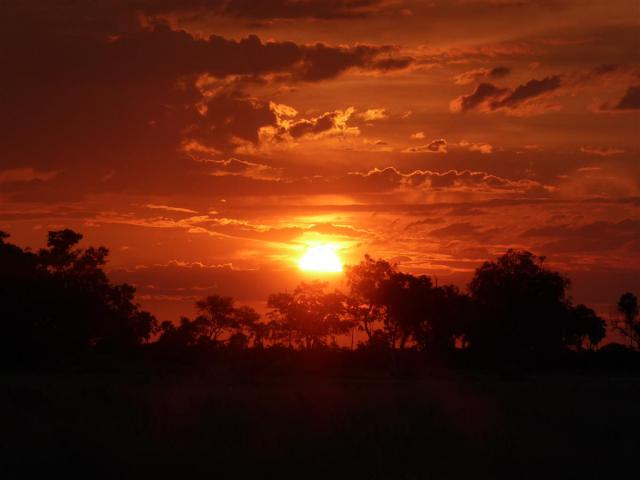 ../photos/Botswana/Jane/P1030723.jpg?t=1775440283
