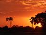 ../photos/Botswana/Jane/P1030737_1.jpg?t=1775440283