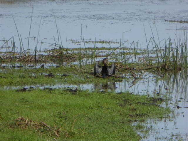 ../photos/Botswana/Jane/P1030744.jpg?t=1775419124