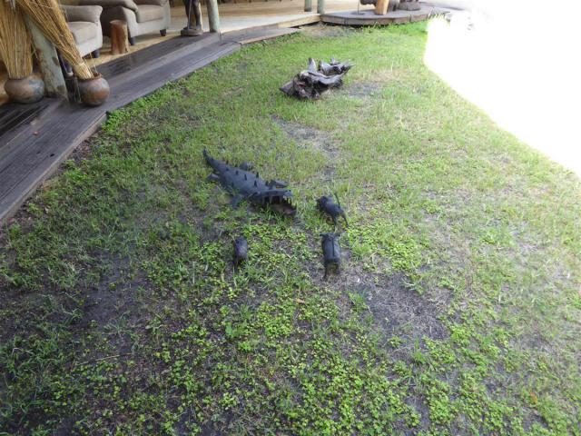 ../photos/Botswana/Jane/P1030755.jpg?t=1775419124