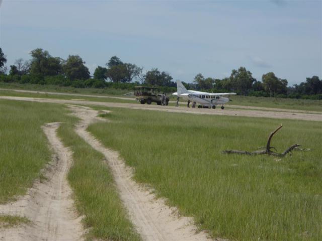 Botswana/Jane/P1030761.jpg