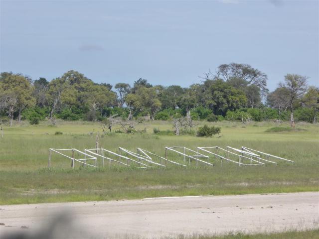 ../photos/Botswana/Jane/P1030762.jpg?t=1775419124