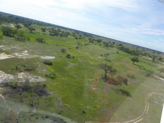 ../photos/Botswana/Jane/P1030765.jpg?t=1775419124