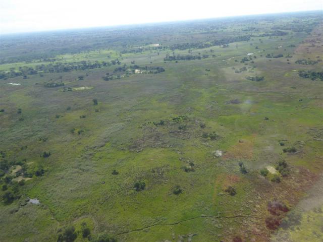 ../photos/Botswana/Jane/P1030769.jpg?t=1775419124