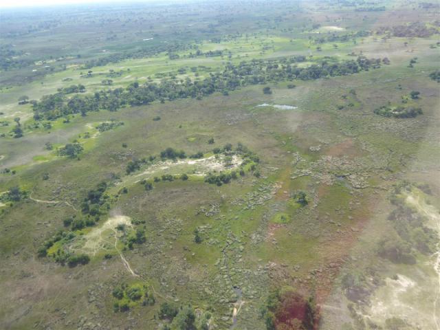 ../photos/Botswana/Jane/P1030770.jpg?t=1775419124