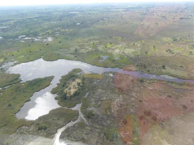 ../photos/Botswana/Jane/P1030771.jpg?t=1775419124