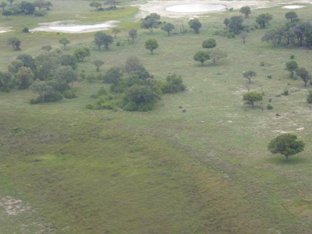 ../photos/Botswana/Jane/P1030778.jpg?t=1775419124