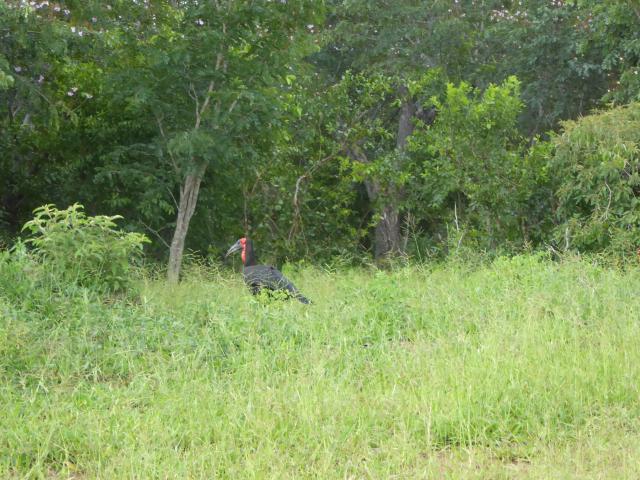 ../photos/Botswana/Jane/P1030793.jpg?t=1775419124